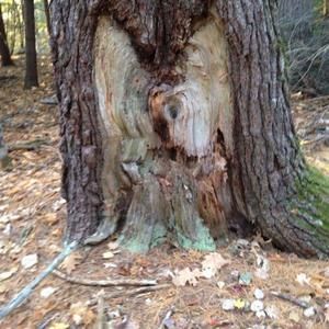 Meet your Posher, Mary kaye